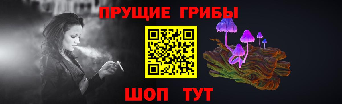 где найти наркотики  Вход с VPN  Бугуруслан  Псилоцибиновые грибы Psilocybine cubensis  Галлюциногенные грибы Cubensis 