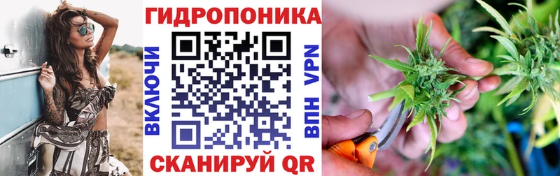 Каннабис SATIVA & INDICA  наркота  Бугуруслан 